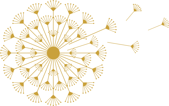 Website-Logo